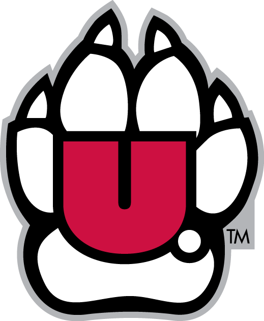 South Dakota Coyotes 2004-2011 Alternate Logo v3 diy iron on heat transfer
